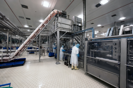 Food Manufacturing 